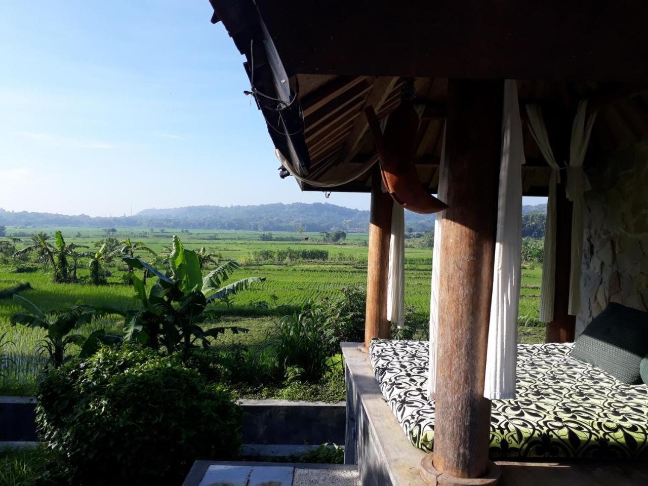 Villa Blue Steps Yogyakarta Eksteriør billede